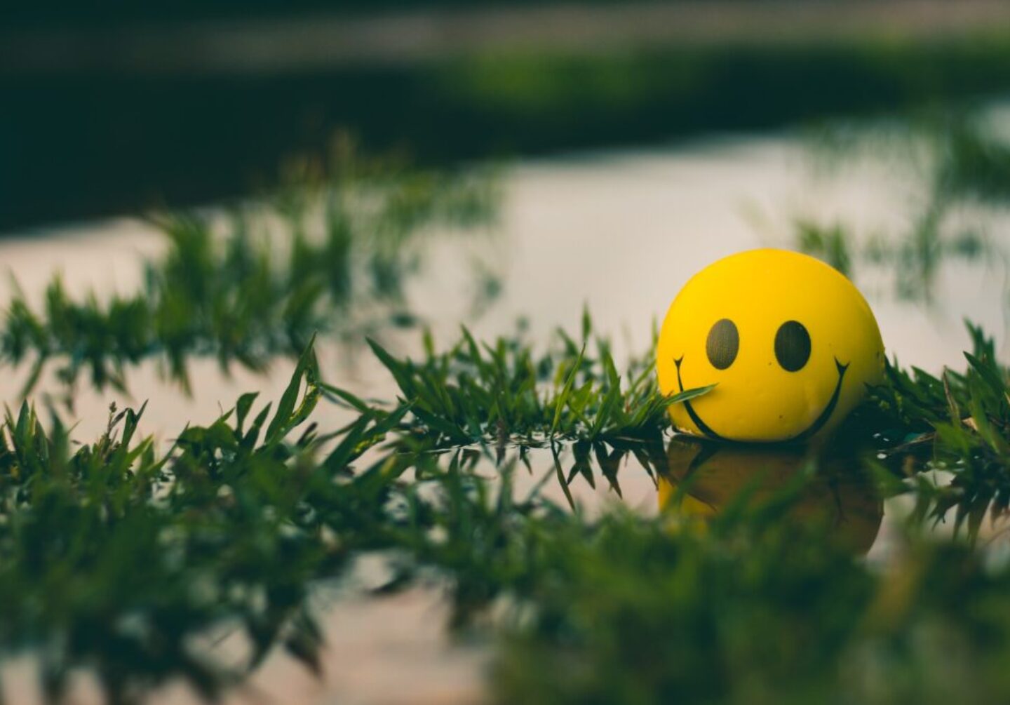 ahmed-zayan-ABUWC-0a7_A-unsplash ahmed-zayan-ABUWC-0a7_A-unsplash