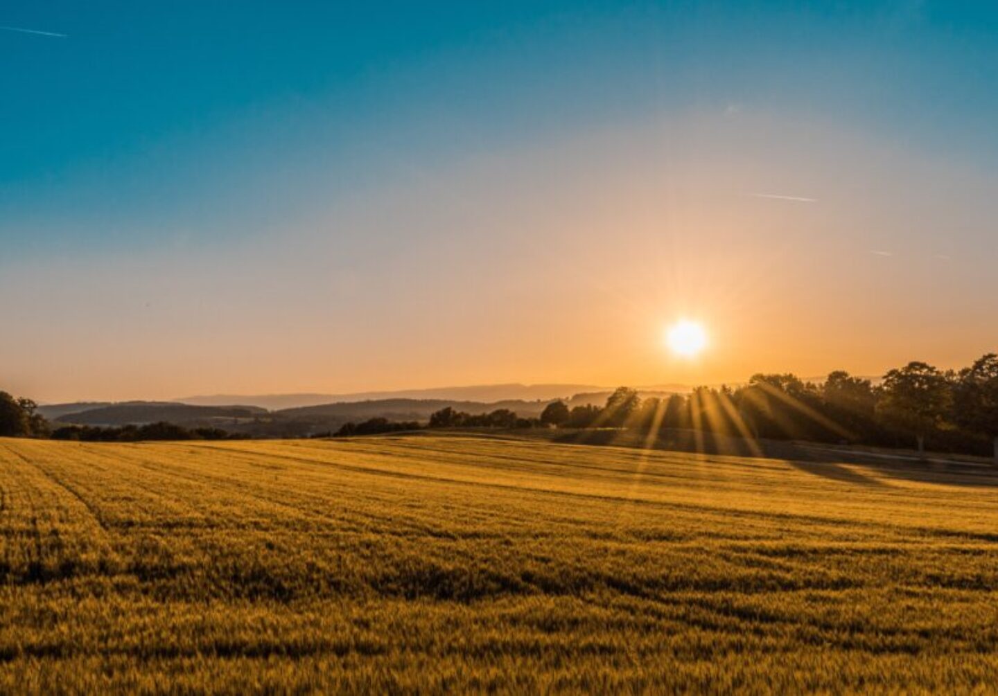 federico-respini-sYffw0LNr7s-unsplash federico-respini-sYffw0LNr7s-unsplash