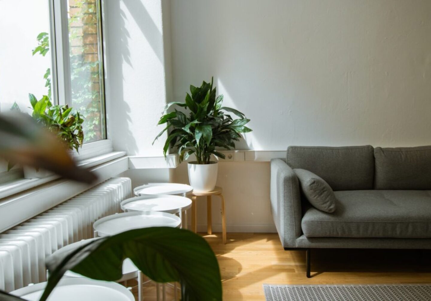 Photo by Leon Seibert gray sofa